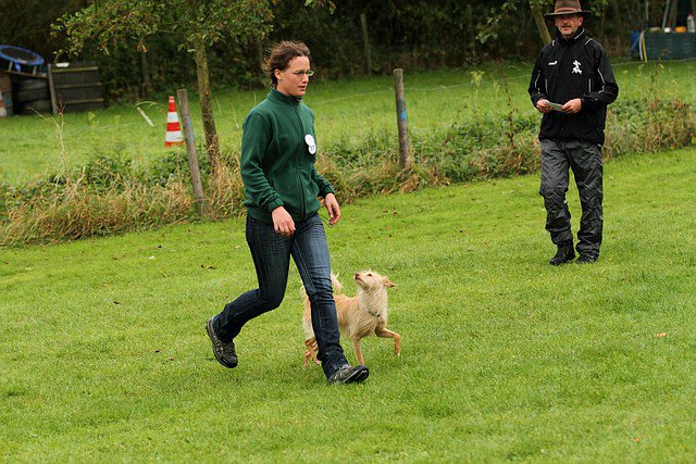 20121024_1819109864_comp_img_0394