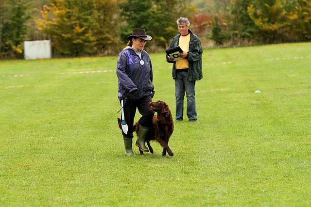 20121024_1948169518_comp_img_0500