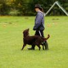 20121024_1862147877_comp_img_0471