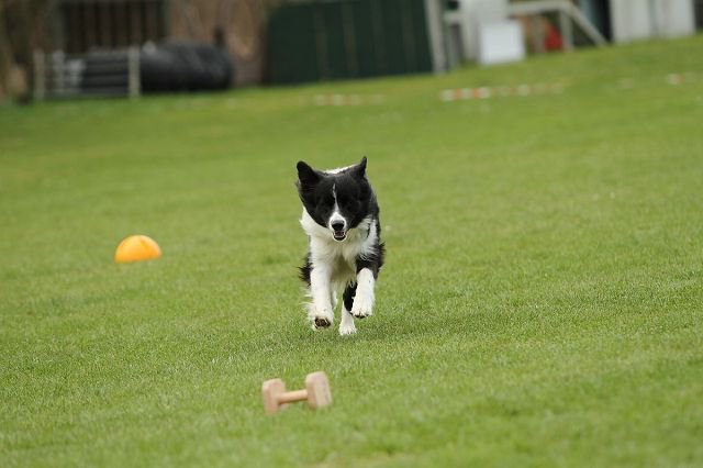 20130520_1013823398_k-comp_2img_5439