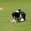 20130520_1237630162_k-comp_2img_5443