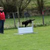 20130520_1388724471_k-comp_2img_5412