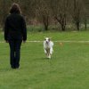 20130520_1753193906_k-comp_2img_5500