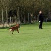 20130520_1774464732_k-comp_2img_5245