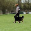 20130520_1808204386_k-comp_2img_5455