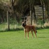 20130520_1907752223_k-comp_2img_5241