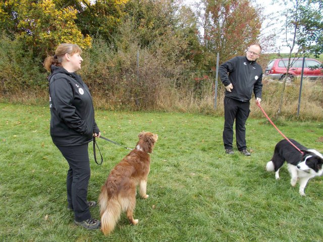 20131021_1135412004_k-hundeplatz_060