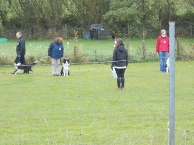 20131021_1276833630_k-hundeplatz_044