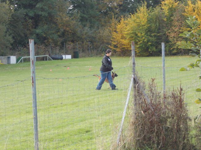 20131021_1567454339_k-hundeplatz_067