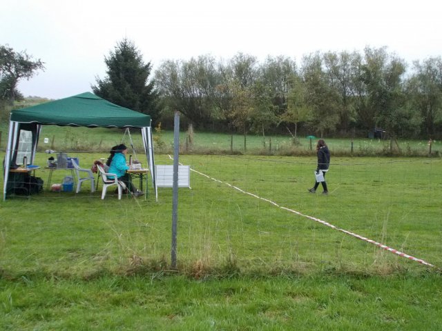 20131021_1927590467_k-hundeplatz_047