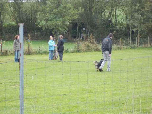 20131021_1956736016_k-hundeplatz_046