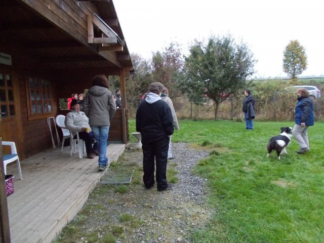 20131021_1990217585_k-hundeplatz_038