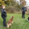20131021_1135412004_k-hundeplatz_060