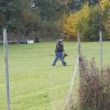 20131021_1567454339_k-hundeplatz_067