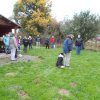 20131021_1700436045_k-hundeplatz_039