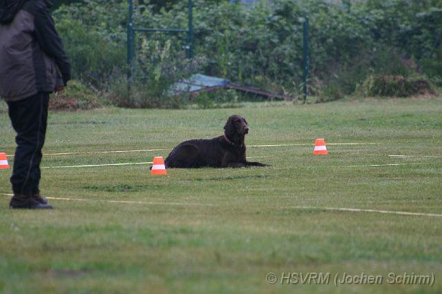 20090702_1222421974_obi-lm09-081