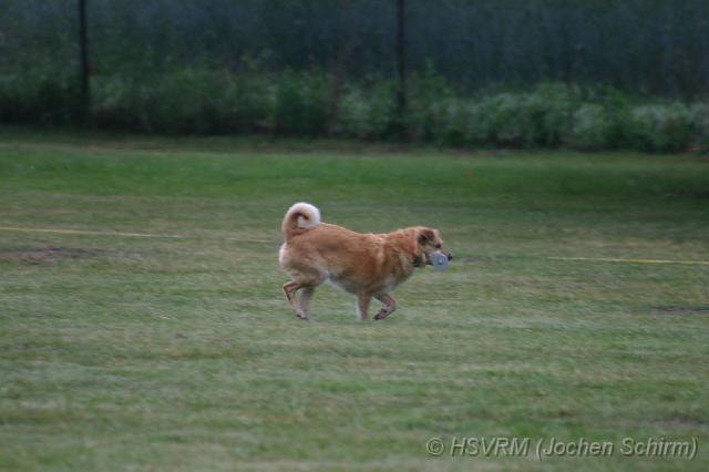 20090702_1406203423_obi-lm09-284