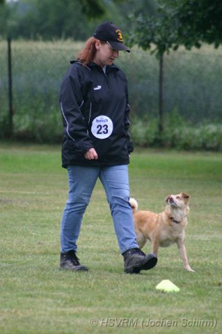 20090702_1430854450_obi-lm09-275
