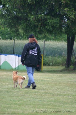 20090702_1744047530_obi-lm09-274