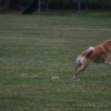 20090702_1374258810_obi-lm09-287