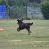 20090702_1689821009_obi-lm09-080