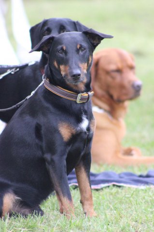 20151024_1443029883_k-img_5906