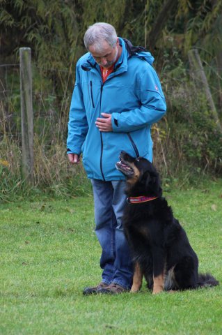 20151024_1959494178_k-img_5806
