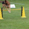 20151024_1952112674_k-img_5861