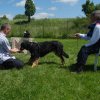 20120824_1747489735_bild7