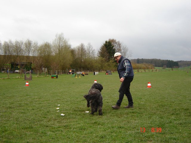 20080414_1562527517_lucy_such2
