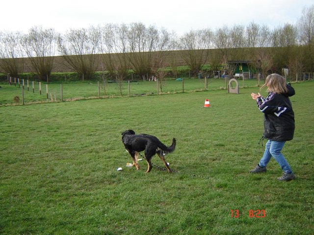 20100422_1152950944_hexe_gut_gemacht