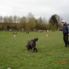 20080414_1773441248_lucy_such