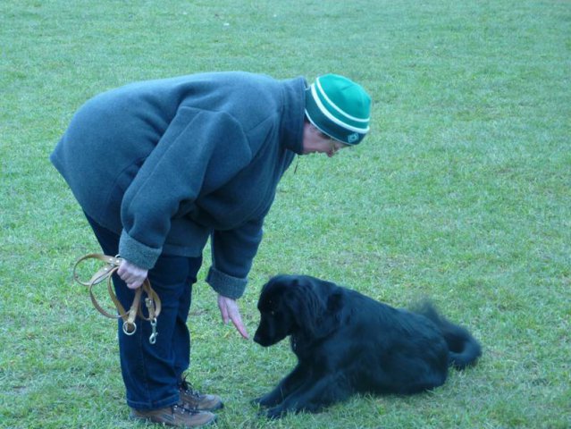 20110116_1028287469_elli2