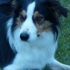 20110116_1625228570_cooper