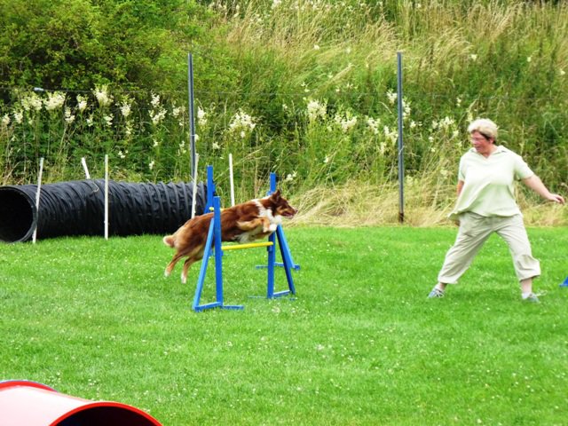 20090713_1031368649_sommerfest_2009_312