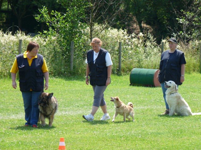 20090713_1695455589_sommerfest_2009_389