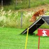 20090713_1054278862_sommerfest_2009_096