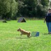 20090713_1166334265_sommerfest_2009_471