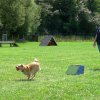 20090713_1509217273_sommerfest_2009_473