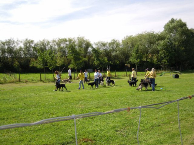 20120901_1079481240_dscn0393