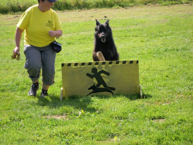 20120901_1176581139_dscn0406