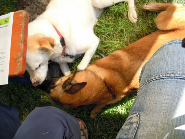 20120901_1309488528_dscn0384