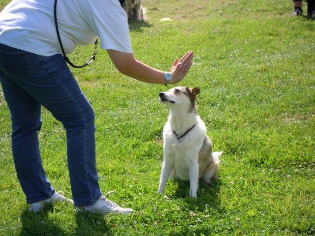 20120901_1515619660_dscn0396
