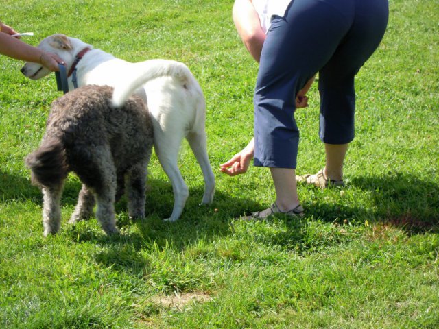 20120901_1750639033_dscn0403