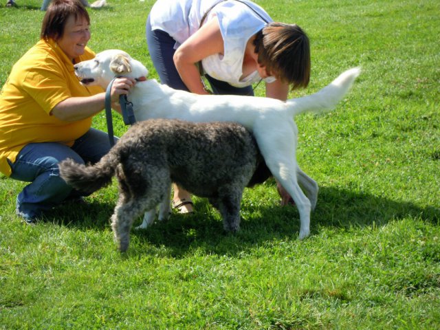 20120901_1859413556_dscn0404