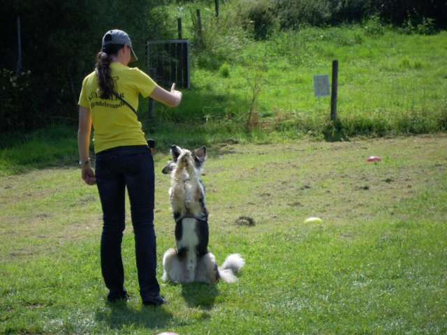 20120901_1923708748_dscn0399