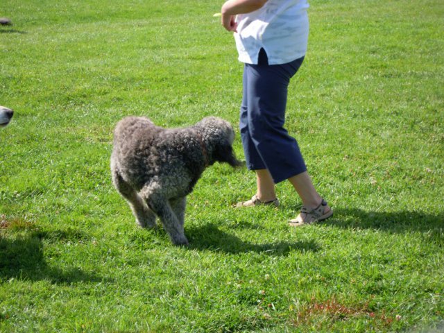 20120901_2036079605_dscn0405