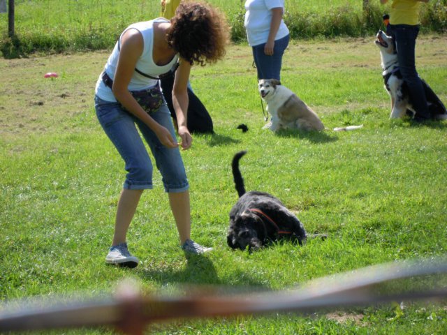20120901_2098333586_dscn0394