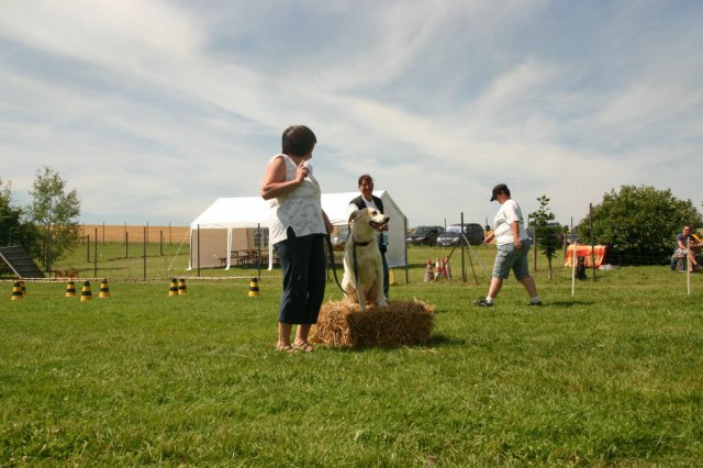 20120922_1186864800_img_7894