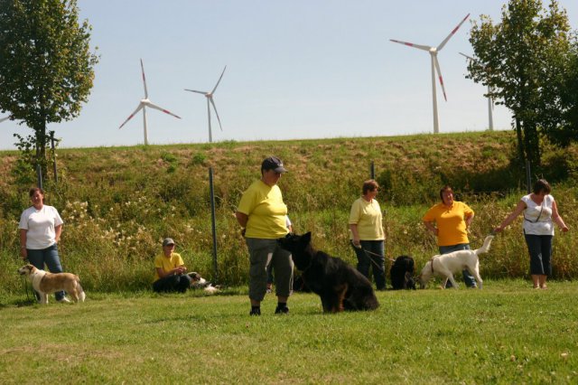 20120922_1450199082_img_7717